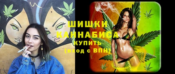 Альфа ПВП Алзамай